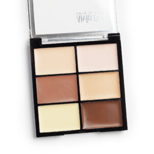 CONTOURING PALETTE